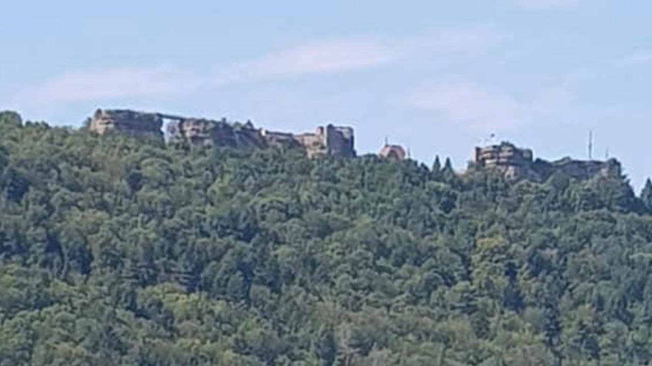 Casasavernoise O Sonho Appart2 Saverne Esterno foto