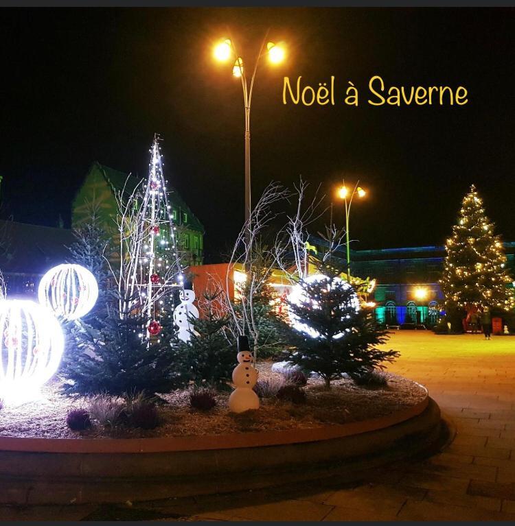 Casasavernoise O Sonho Appart2 Saverne Esterno foto